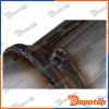 Filtres à Particules Diesel EURO5 pour NISSAN | DPF-NS-004, 73166